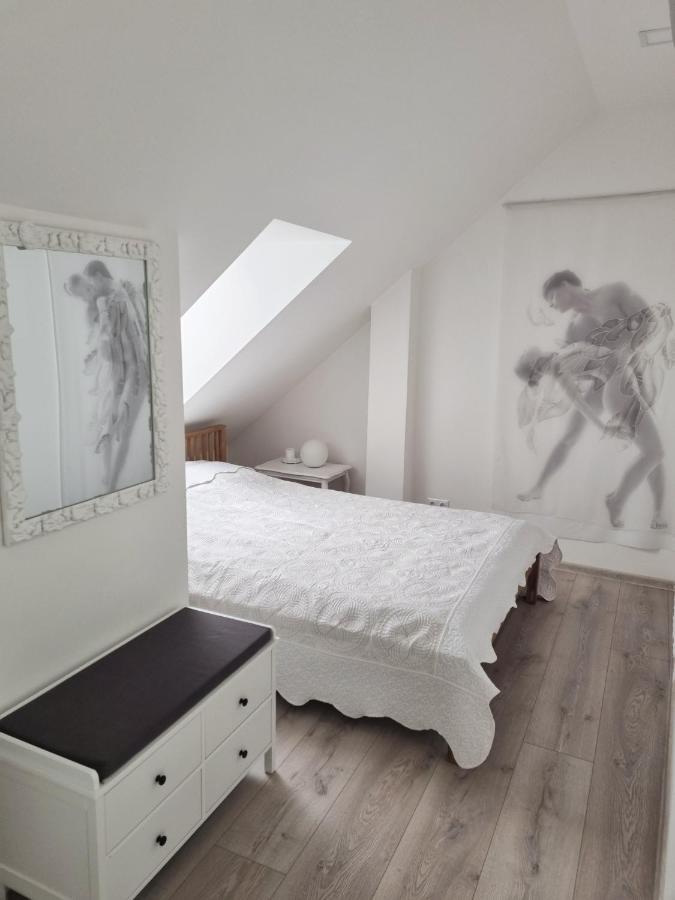 Gallery Balta Apartments Kaunas Esterno foto